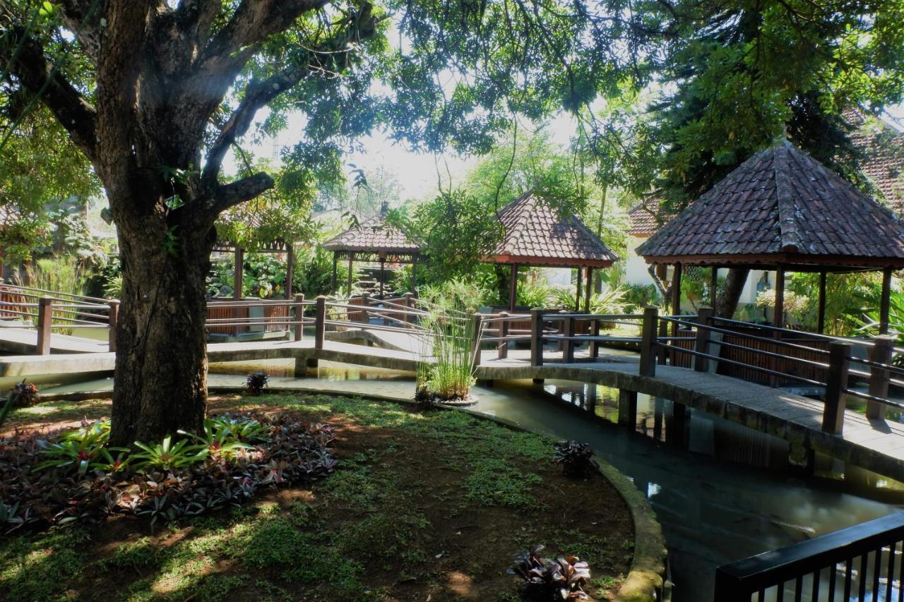 Hotel Minak Jinggo Banyuwangi  Kültér fotó